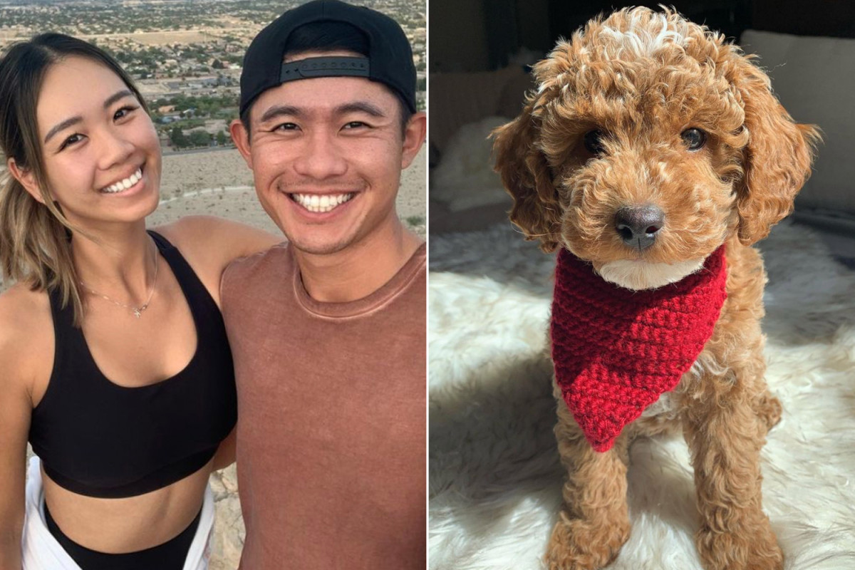 How Collin Morikawa honored Tiger Woods with girlfriend and dog's help