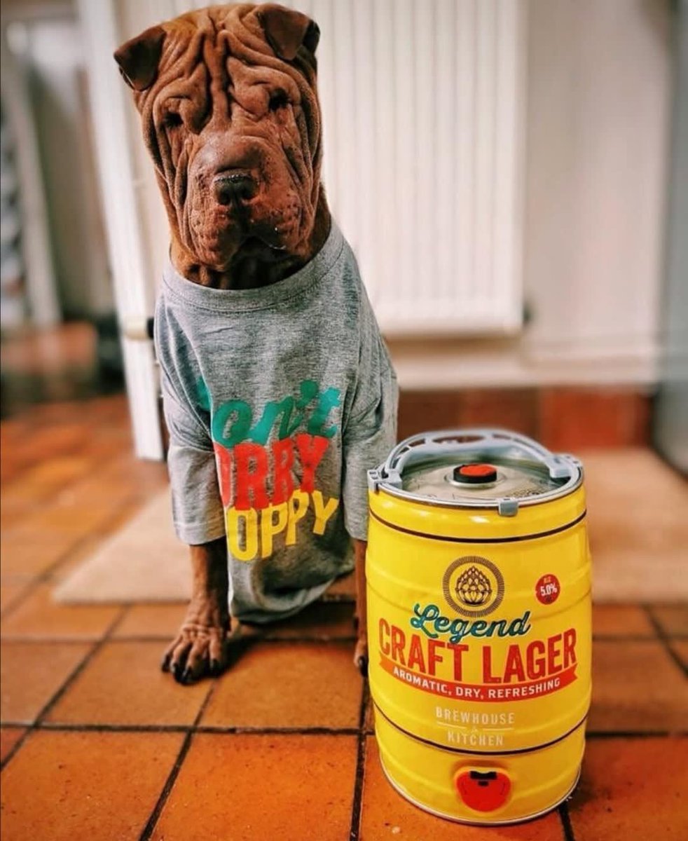 Brewhouse & Kitchen - Worthing tweet media