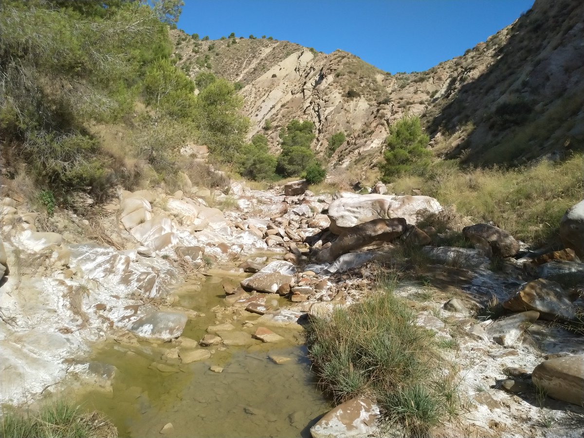 Meet the team 💦 Hard-working members of the Freshwater group from the University of Murcia @UMU sampling three 'ramblas' in the south of Spain with @mariasmontoya75