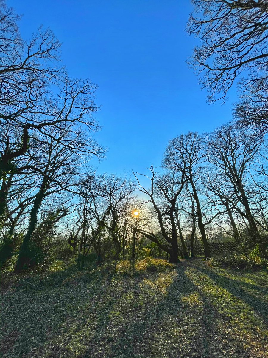 Took this picture @ Tooting Common over the weekend. Forgot to post 👌🏽

#tooting #streatham #tootingcommon