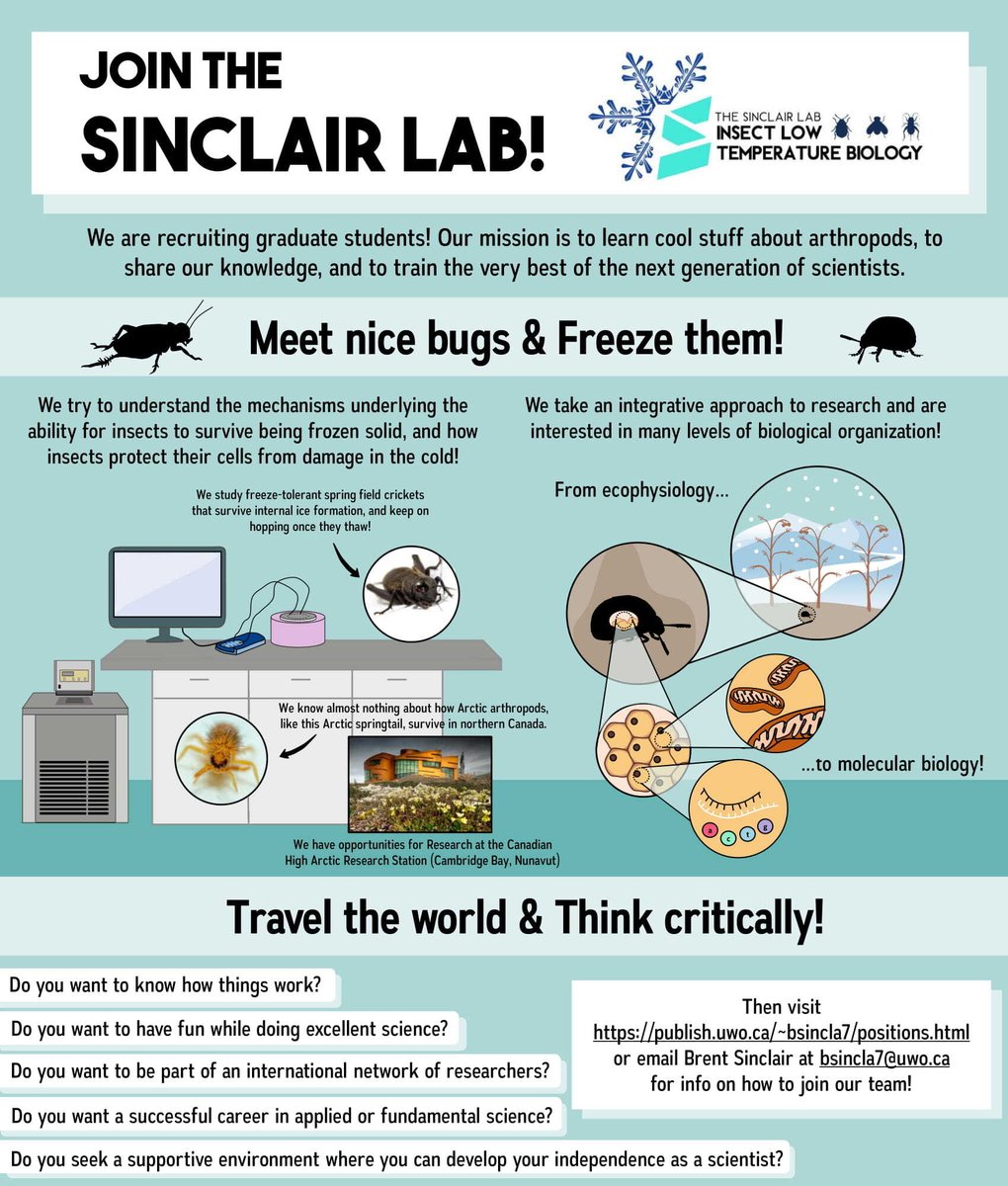 brentjsinclair's tweet photo. Hey everyone! I'm recruiting graduate students for my lab. Travel the world. Meet nice bugs. Freeze them! https://t.co/daHXShMjXM Looking for students with an interest in knowing how stuff works and who like insects. Guaranteed stipend. Please RT and share widely! https://t.co/HeFXCUTlYm