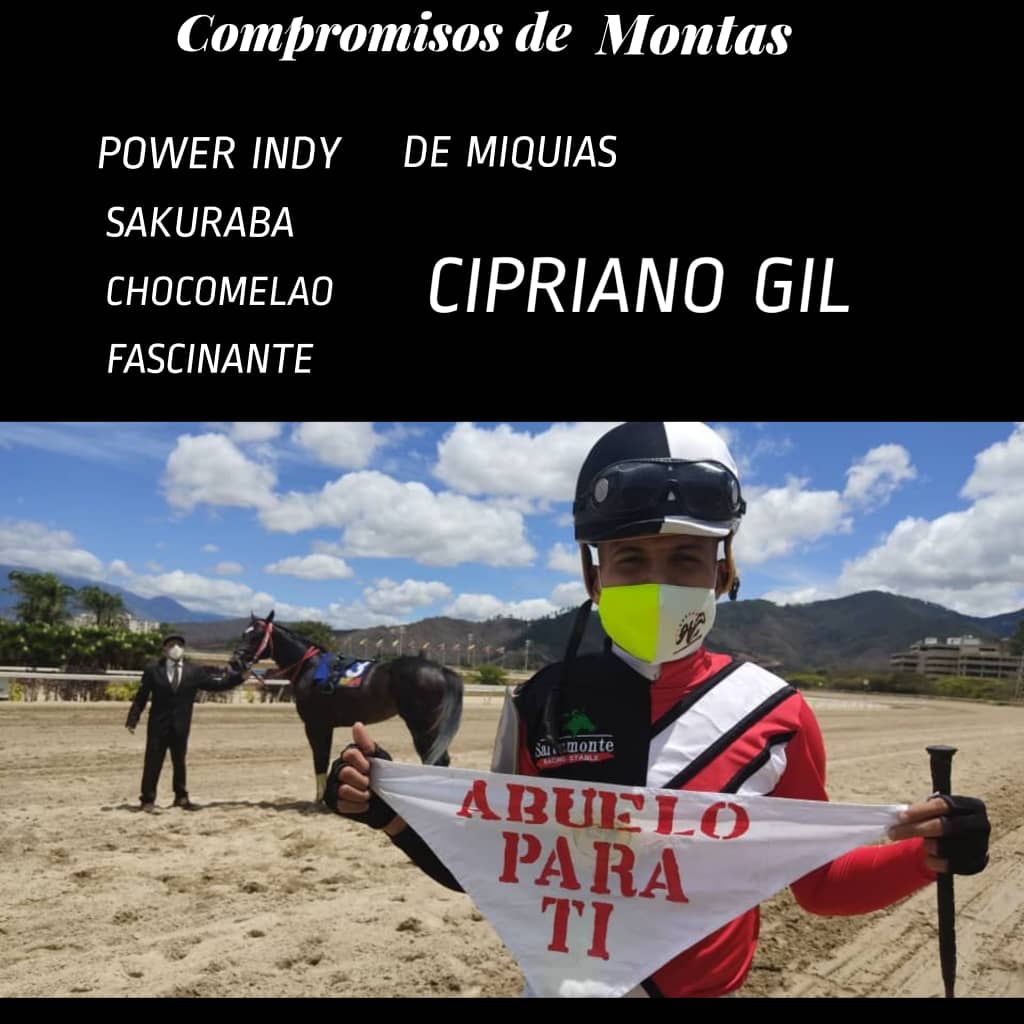CiprianoGil2's tweet photo. Agradecido con todos los propietarios y entrenadores que semana a semana me brindan su apoyo y a mi agente @Abrahammoisesc3 โ @hjgcdj @LosSamanesStud @harascentauro @Horseshoestabl1 #luismartin #studlosaudaces @trainersjgarcia #fernandoparilli https://t.co/A6rQQkPLO7