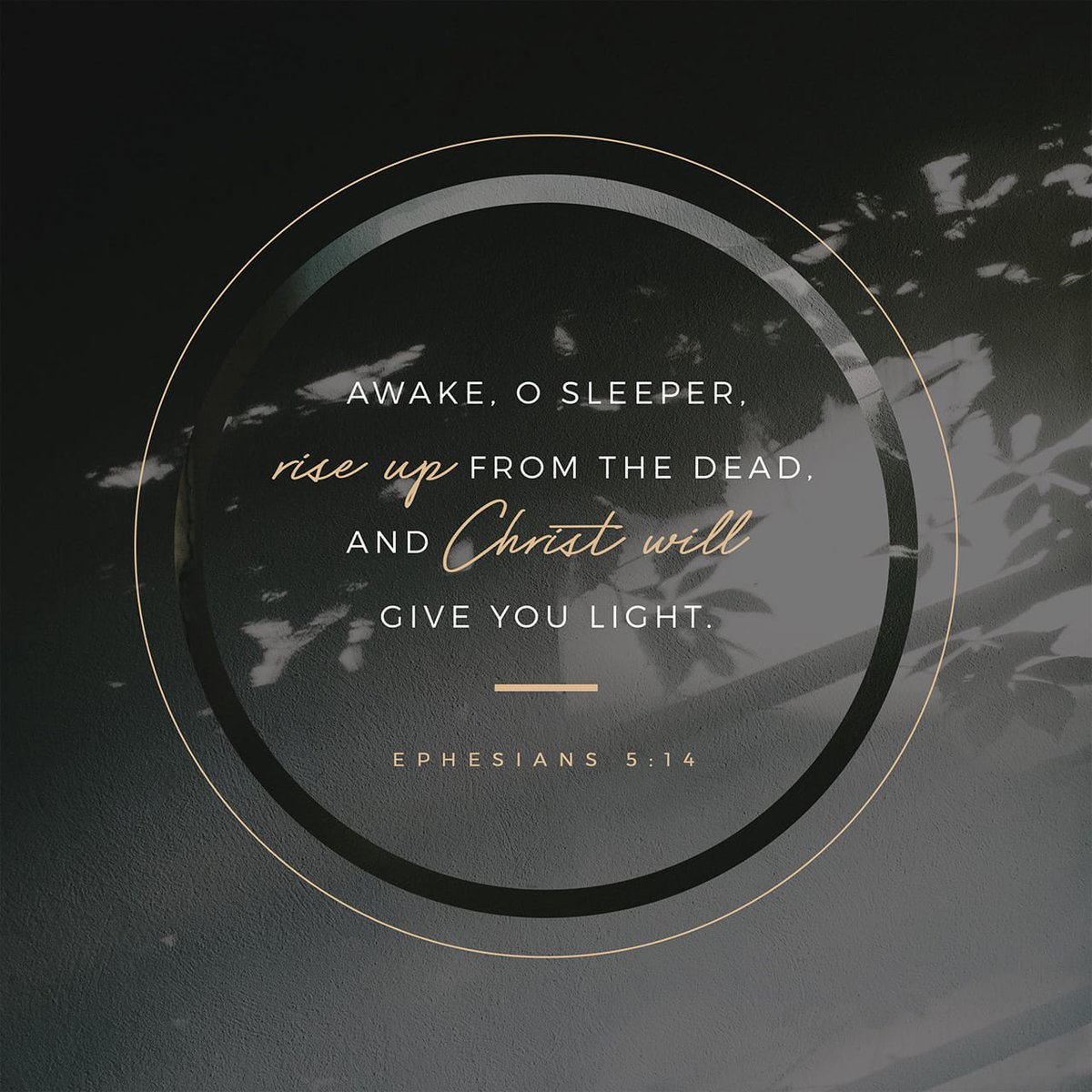 jlshine5's tweet photo. Wherefore he saith, Awake thou that sleepest, and arise from the dead, and Christ shall give thee light. Ephesians 5:14 KJV
https://t.co/zaCU8tbEoq #WakeUpSleeper #Hallelujah https://t.co/nqv4rDvWIW