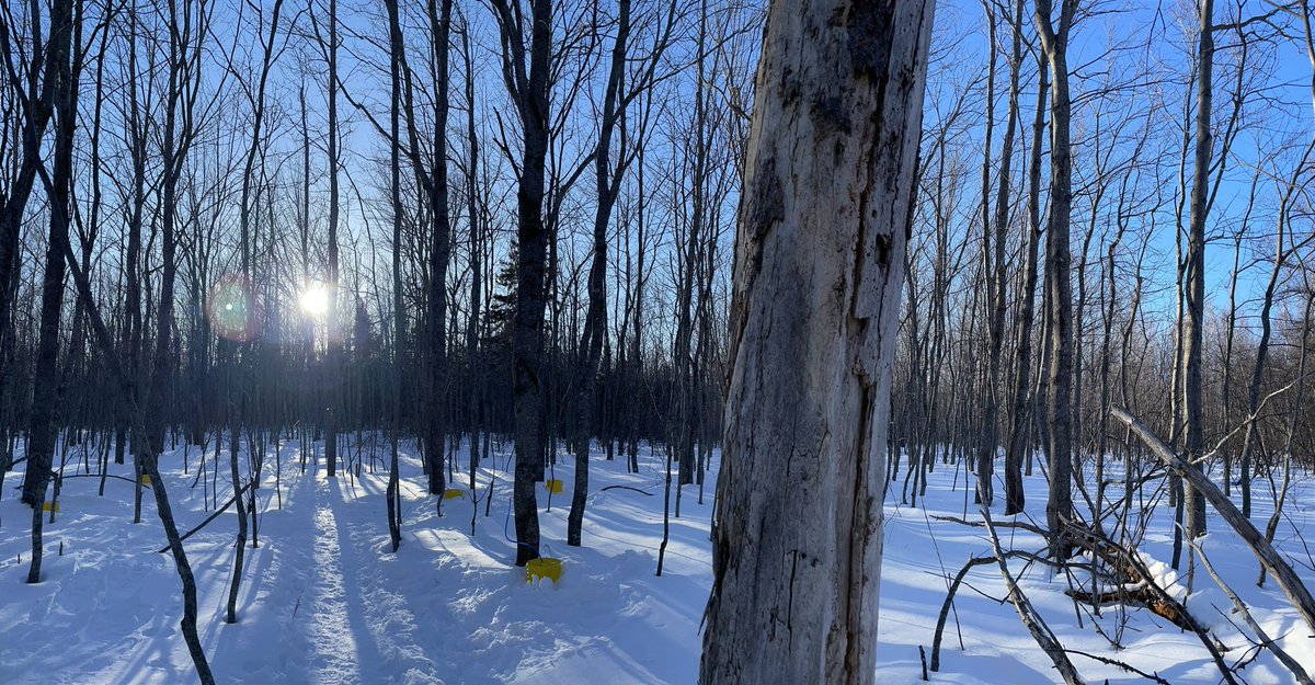 Rachel Schofield tweet media