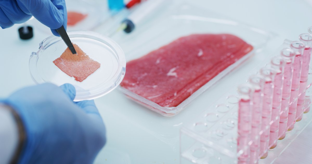 Biotech tweet media