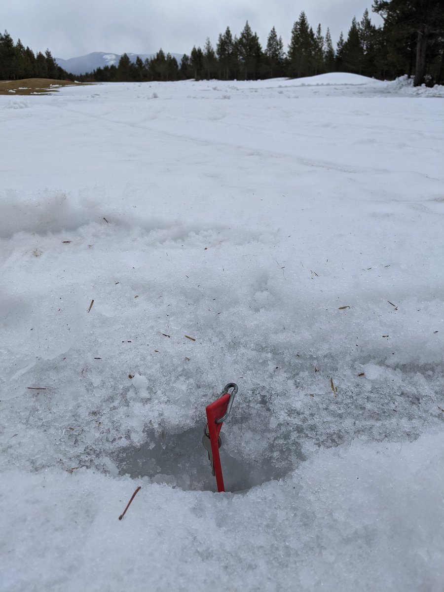 Average ice depth on fwys is 3.5 inches.  Plowing as much  top snow off as possible to encourage melt.🤞😬