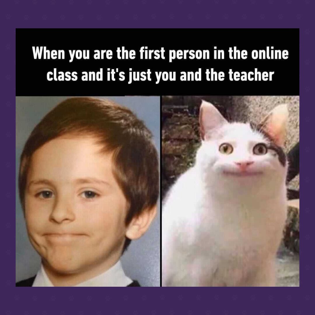 It's the same as the 'when your cat watches you scoop their litter face'. 😹