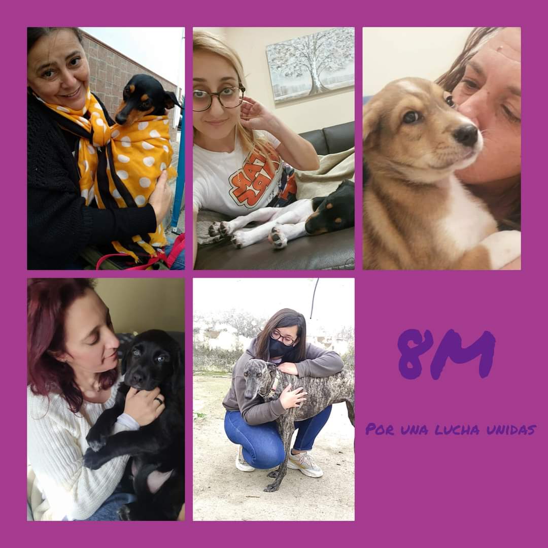 AMPAROSUR's tweet photo. Hoy venimos a hablaros de ellas, de las mujeres que forman El Amparo del Sur.
Y es necesario, sí que lo es, porque aunque el objetivo principal de nuestra protectora sea "salvar vidas de 4 patas" nunca podemos olvidarnos de que somos personas y que tratamos con ellas. 
#8demarzo https://t.co/LMKNa7zguT