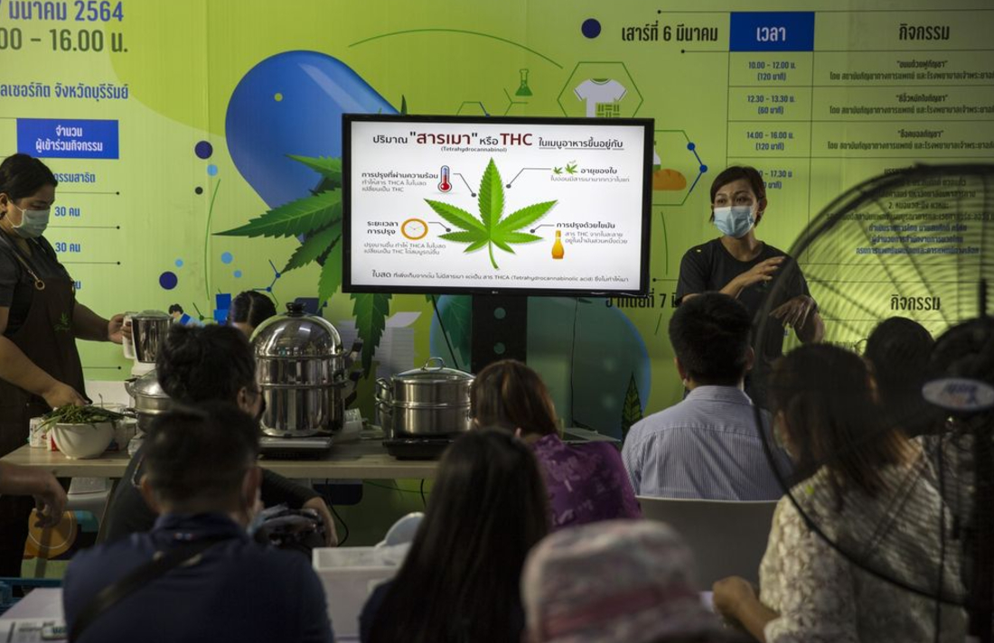Thai Families Can Grow Six Pots of Cannabis Each as Rules Eased #Thailand #MMJ #growing #cultivation #law #legalization #politics bit.ly/30nwmdw