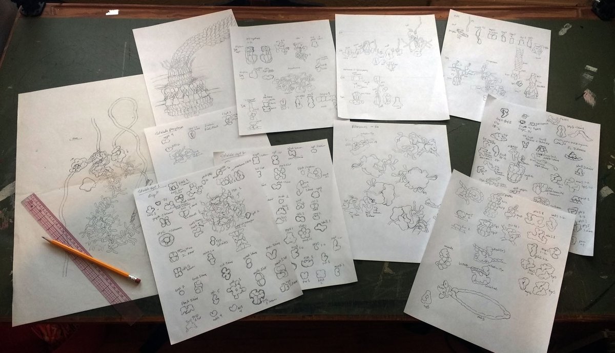 Finally finished the style sheets for the E. coli painting--several hundred of the most abundant proteins plus a bunch of wonders-of-nature that had to be included. Time to start building the sketch of them in the cell!