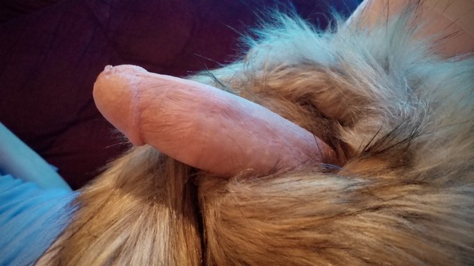 Touch fluffy tail~ 😻  Link to full post in description #nsfw #femboy #furry #buttplug #crossdressing<a href="/tag/nsfw"class="tags">#nsfw</a><a href="/tag/furry"class="tags"><span>#furry</span></a><a href="/tag/buttplug"class="tags"><span>#buttplug</span></a><a href="/tag/crossdressing"class="tags"><span>#crossdressing</span></a><a href="/tag/femboy"class="tags"><span>#femboy</span></a>