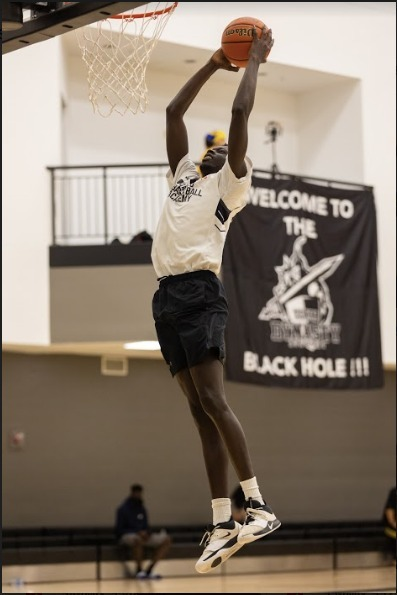 Toronto BBallAcademy tweet media