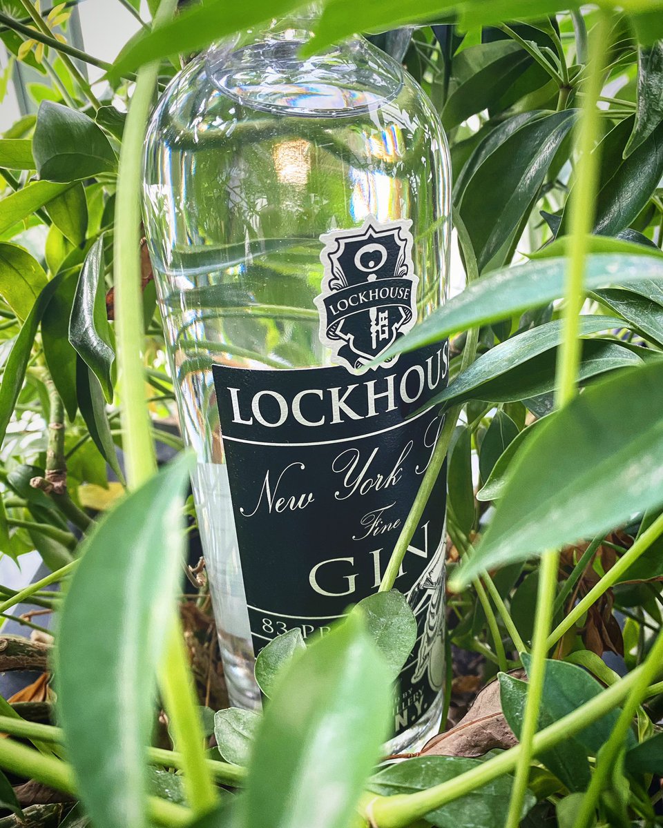 Looking forward to some spring gin sipping. 🪴🍸
•
#lockhousedistillery #springiscoming