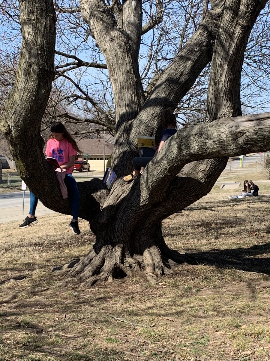 TwainElementary's tweet photo. What’s this I see? What can this be? More kids reading in a tree! Our book challenge goal we’ve soared above, but here at Twainville it’s books we love! #spsreads @cammielib1 @DrJ_Anderson @officialSPS @katheryn_shatto https://t.co/cON924bO9v