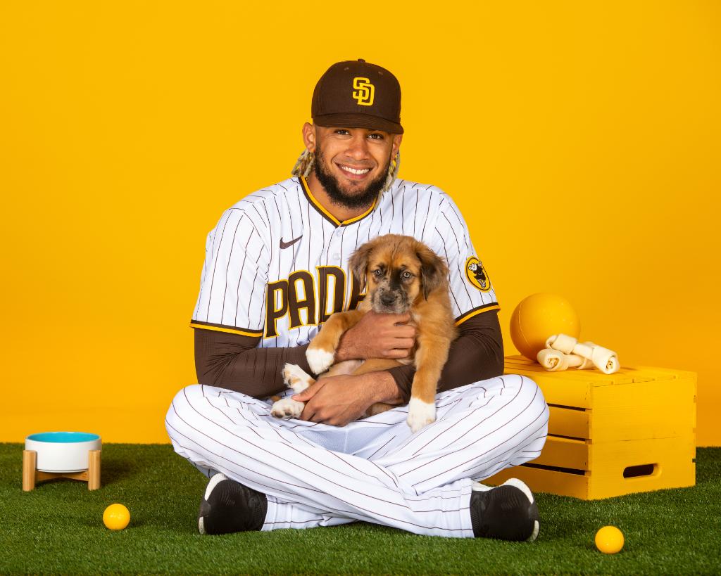 Petco (@petco) on Twitter photo If Manny Machado and <a href="/tatis_jr/">Fernando Tatis Jr.</a> with puppies doesn’t make you feel 🥺, we don’t know what will. Stay tuned for much more content from these two as we partner on all things pets, and health and wellness. If Manny Machado and <a href="/tatis_jr/">Fernando Tatis Jr.</a> with puppies doesn’t make you feel 🥺, we don’t know what will. Stay tuned for much more content from these two as we partner on all things pets, and health and wellness.