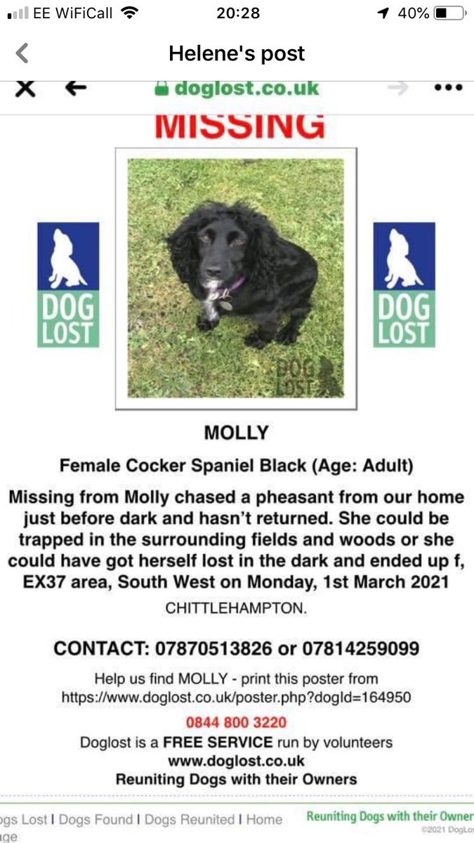 DogCapture's tweet image. Anyone know where this dog is ?