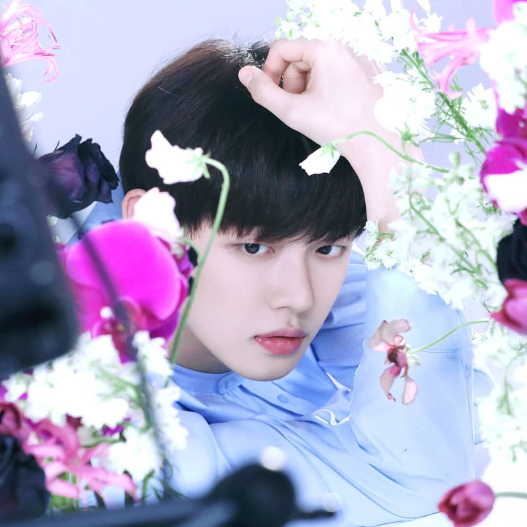 ThXTeam_twt's tweet photo. The 𝗻𝗲𝘄 boy banda of 𝟮𝟬𝟮𝟭
What do you 𝘀𝗲𝗲?
𝗤𝘂𝗲𝘀𝘁𝗶𝗼𝗻𝗶𝗻𝗴 film
(◠‿・)—☆ REIN
GROUP BY @LunaryEnt
#THxTM #COMINGSOON
#REIN #1stMEMBER https://t.co/ymWkiiUYdh