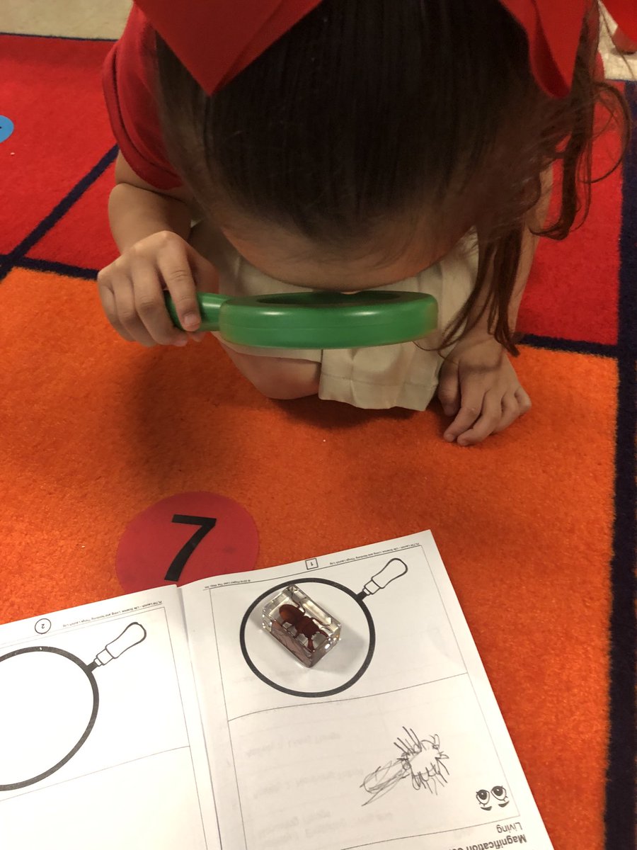 vega_lfc's tweet photo. Mrs. Vega’s PK Class PLTW 🎉 Living and NonLiving #losfresnospltw #pltwdistancelearning @PLTWorg @LRE_Wranglers @LosFresnosCISD #pklife https://t.co/jXM0O2rl1i