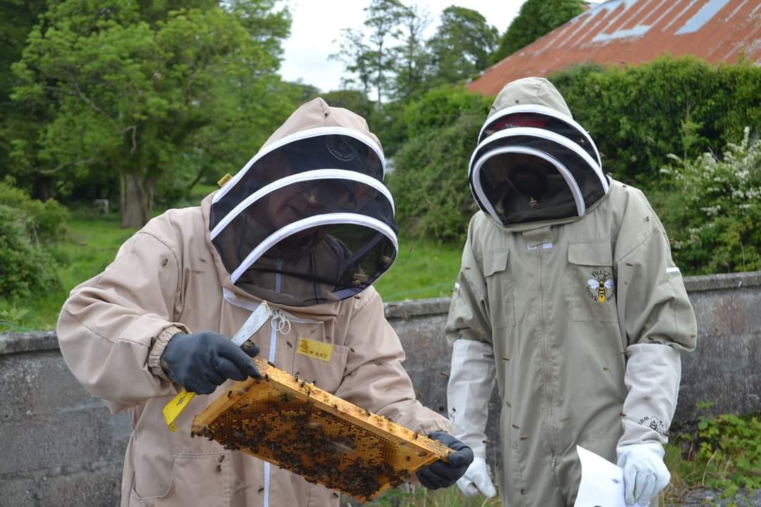 Tribes Beekeepers tweet media