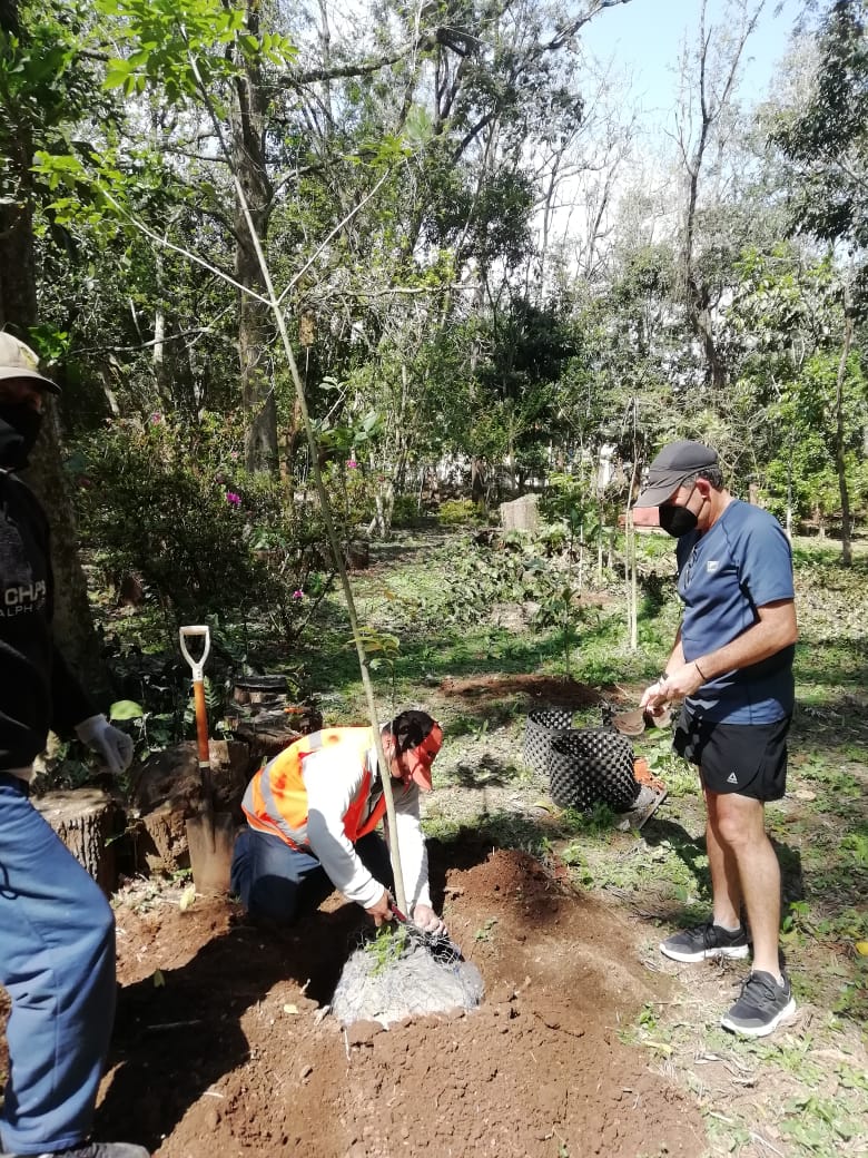 RecNaturalesXal's tweet photo. Plantan 100 árboles durante jornada de reforestación en el parque "La Alameda".
👉 https://t.co/ppsXGqHWEn
Con reforestación, #FloreceXalapa.
#DMAS
#DByCC https://t.co/sGZJxPEBMi