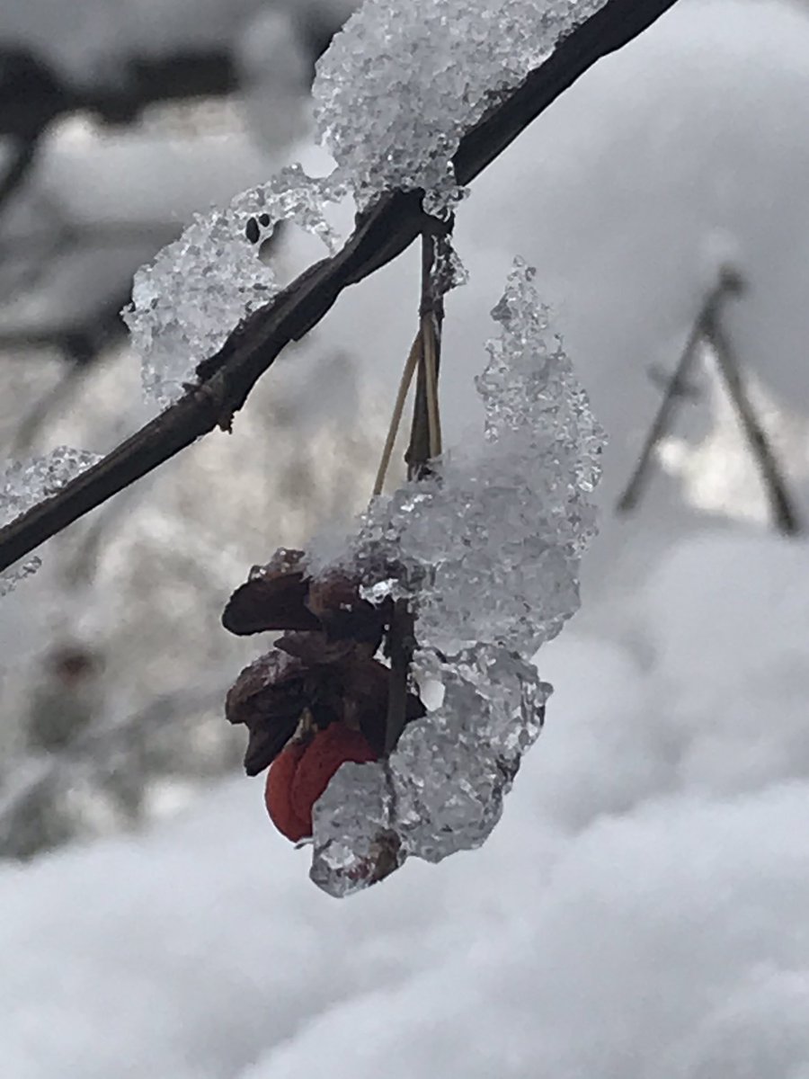 InstitutePL_YOW's tweet photo. It may be cold outside but the Ottawa-Gatineau chapter is planning on warming things up during our virtual networking event. Join from wherever you are! March 24 from 5-7pm. Register at https://t.co/kyCkUHQ7Eg https://t.co/8TUlqnSVCw