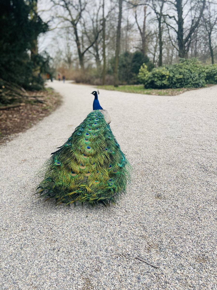 Voel me weer eens underdressed in het park.