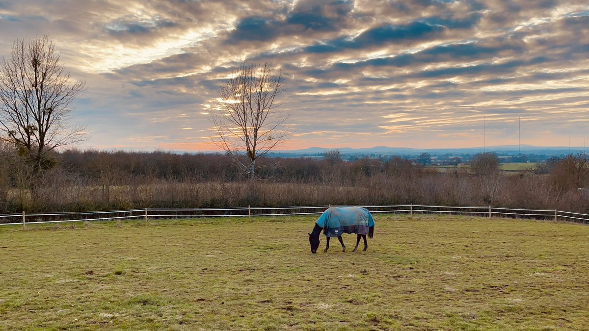 ClearViewStud tweet picture