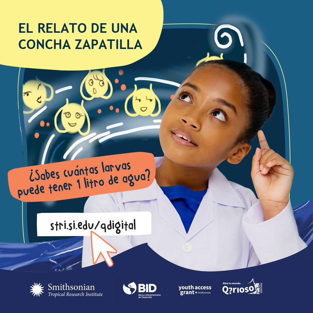 PuntaCulebra's tweet photo. Aunque no los puedas ver a simple vista, en el océano hay un mundo de organismos microscópicos para conocer. ¡Entra al enlace y descubre al misterioso mundo de las larvas veligeras!
https://t.co/jGa1KBdqYA

#Smithsonian #Panama #PuntaCulebra #QDigital #Veligeras #Ciencia https://t.co/j3IMAnC563