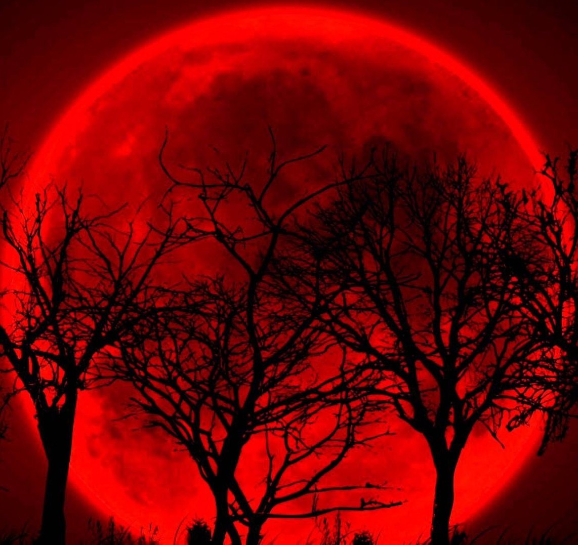 𝙕𝙤𝙩𝙯. 🦇 tweet media