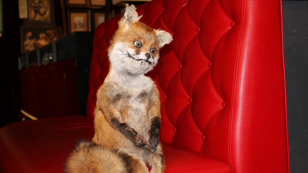Stoned Fox Finance #BSC tweet media