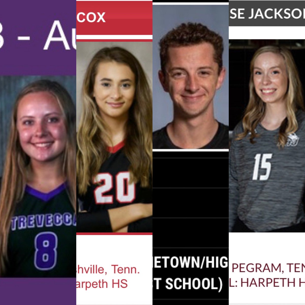 Harpeth Volleyball Club tweet media