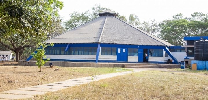 PappoeRare's tweet photo. @Odadee_Official Saluting the women in the Octagon who kept us alive for 3 years❤❤ #internationalwomensday2021 https://t.co/ShhwhwTwMJ