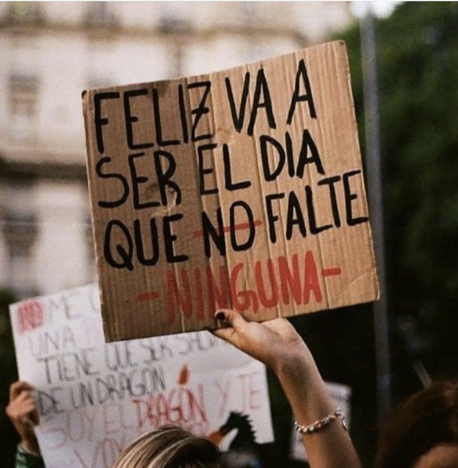Queremos las mismas oportunidades y espacios de participación. Que dejen de golpearnos, violarnos, desaparecernos
