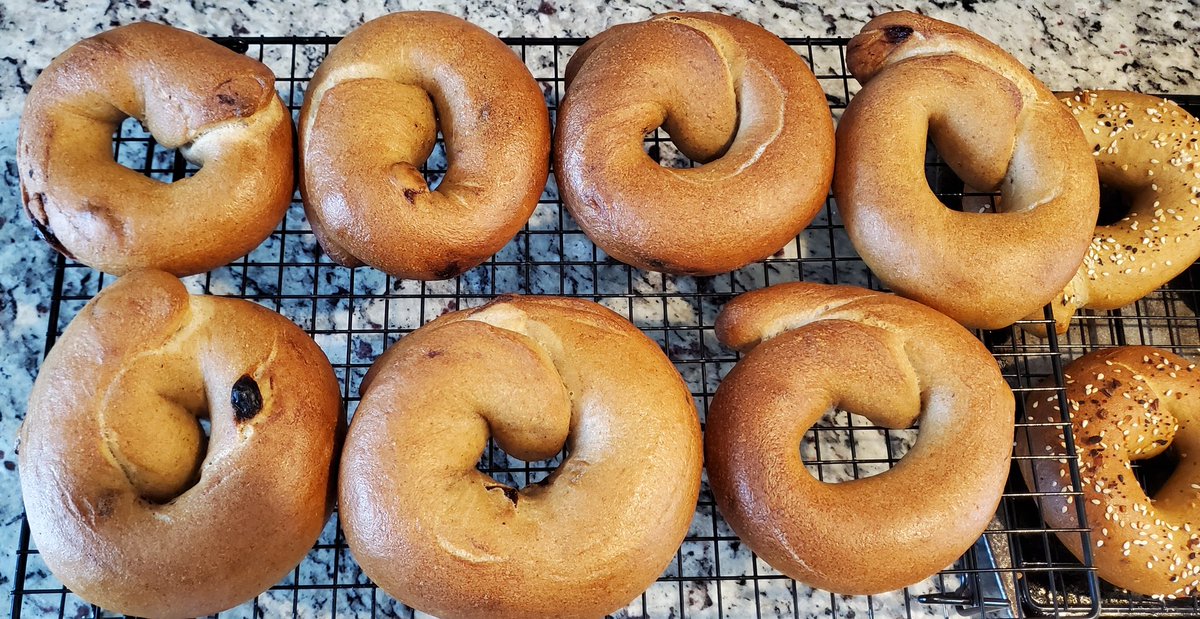 angrymoe's tweet photo. How big of a hole should a bagel have?  Any feedback? https://t.co/u1YE8ujuxv