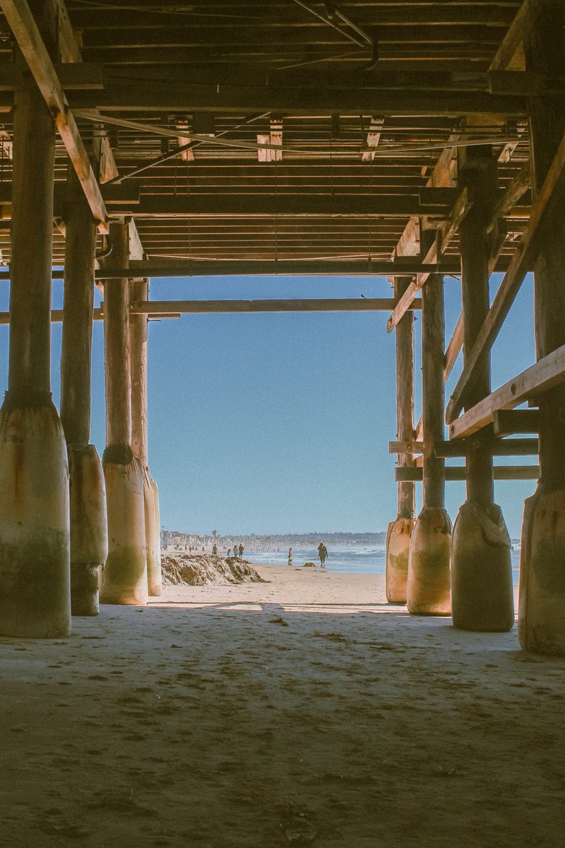 OceanParkInnSD's tweet photo. If this is what heaven looks like, count us in 🏖️ #happinesscomesinwaves https://t.co/nw5IHxKd16