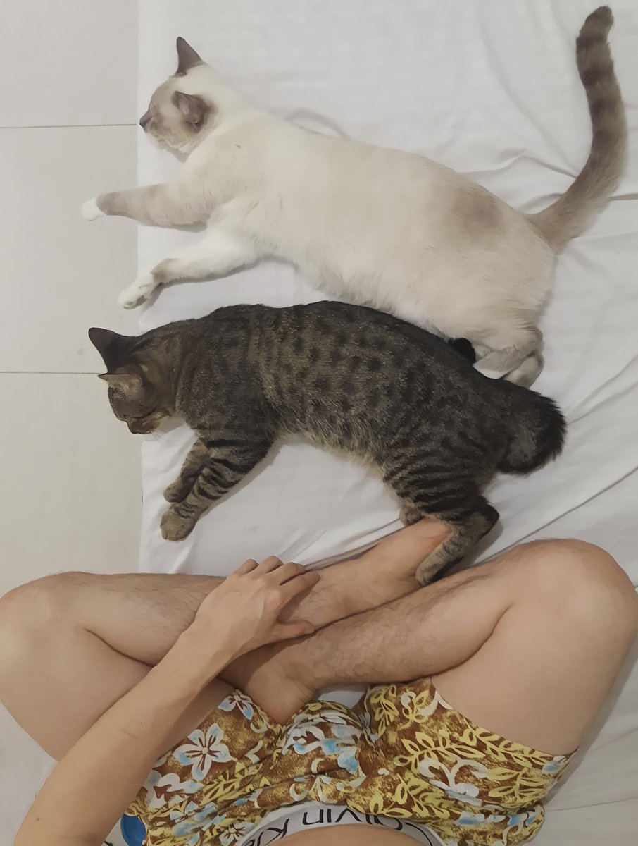 Mi compañía 🤍🖤