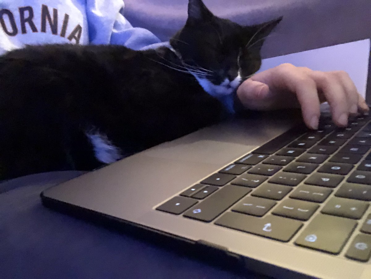 MissMcCubbinPE's tweet photo. I think Narla has decided that Mummy needs to stop working now... 😴🥰 https://t.co/seibOgfnXt