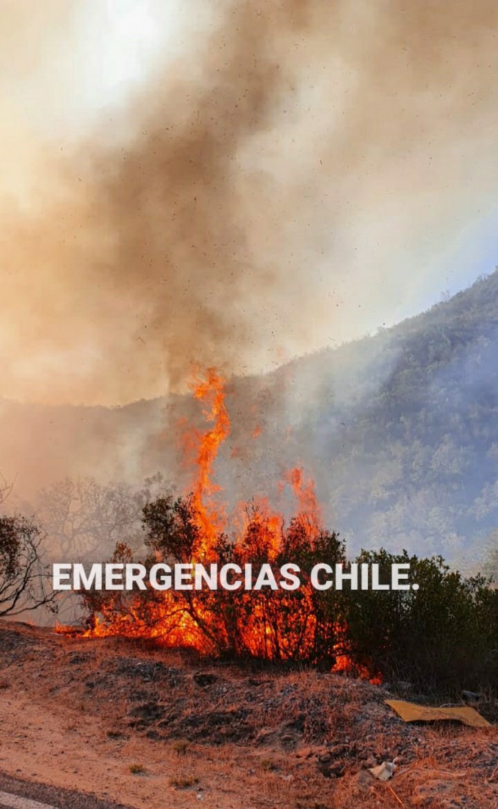EMERGENCIAS CHILE. tweet media