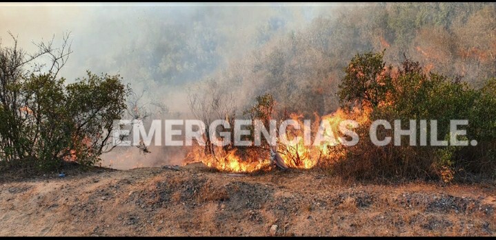 EMERGENCIAS CHILE. tweet media