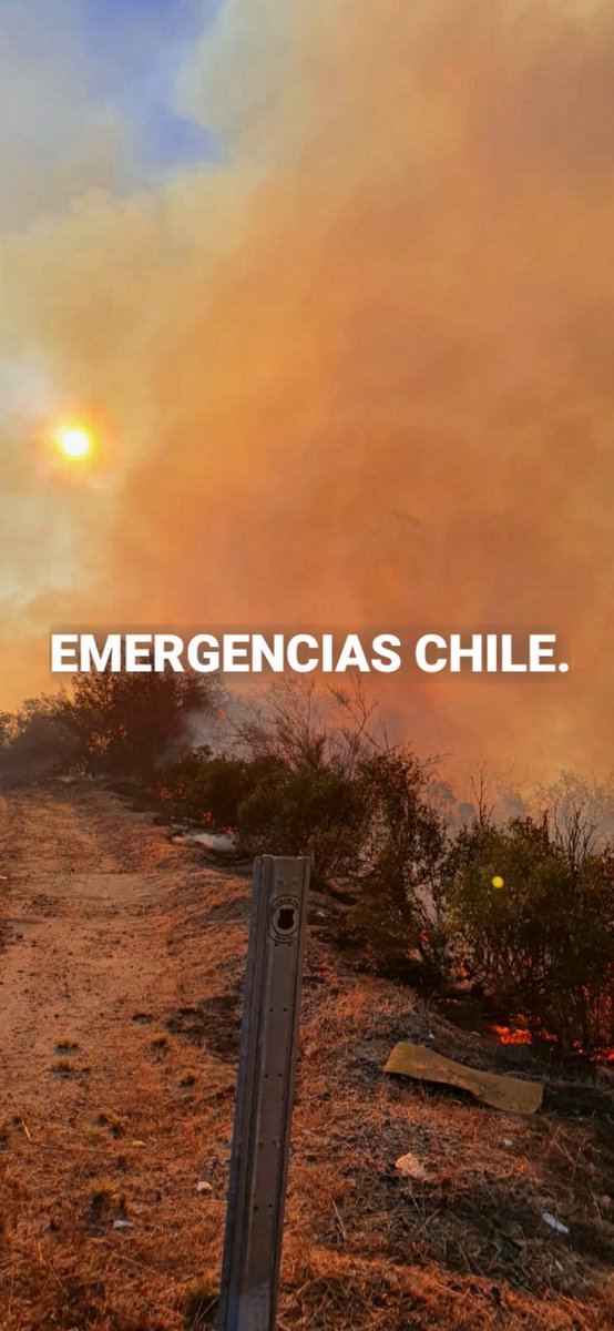 #Curacaví Bomberos en conjunto con #Casablanca Despacha unidades a Incendio de pastizales con peligro de propagación, en sector límite el pangue, también avanza <a href="/conaf_minagri/">CONAF - Corporación Nacional Forestal</a> al lugar, para controlar la emergencia. <a href="/bayron_lopez01/">Bayron López</a> <a href="/ViveCASABLANCA/">🚨🔴 ViveCASABLANCA 🔴🚨🇨🇱</a> <a href="/MCuracavi/">Muni Curacaví</a> <a href="/DeCasablancaCL/">Casablanca - Chile</a>