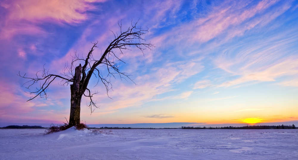 klip yönetmeni baykaraca