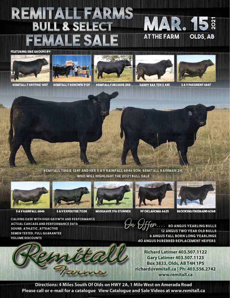 Thank you to one of our Angus Life 2021 advertisers! Be sure to check out the Remitall Farms Bull &amp; Select Female Sale on March 15. Visit remitall.ca for more details #cdnangus