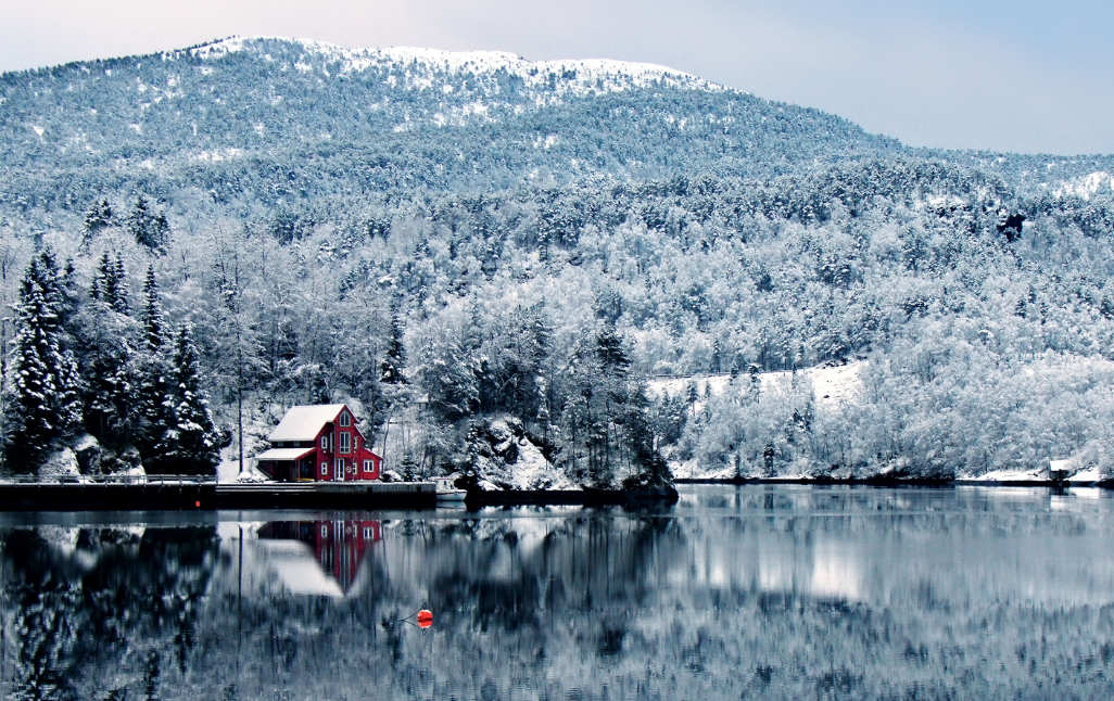 yönetmen baykaraca bay karaca