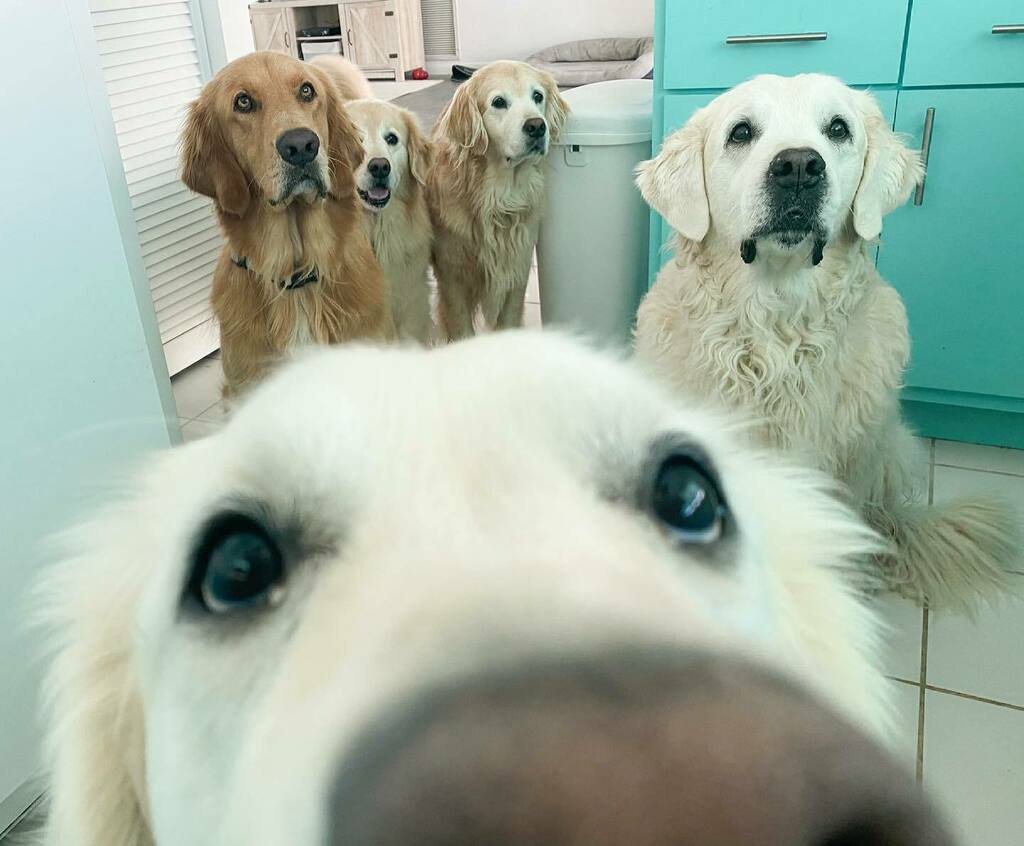 TheGoldenRatio4's tweet photo. We all have that one friend… https://t.co/HNrOtpKdo8