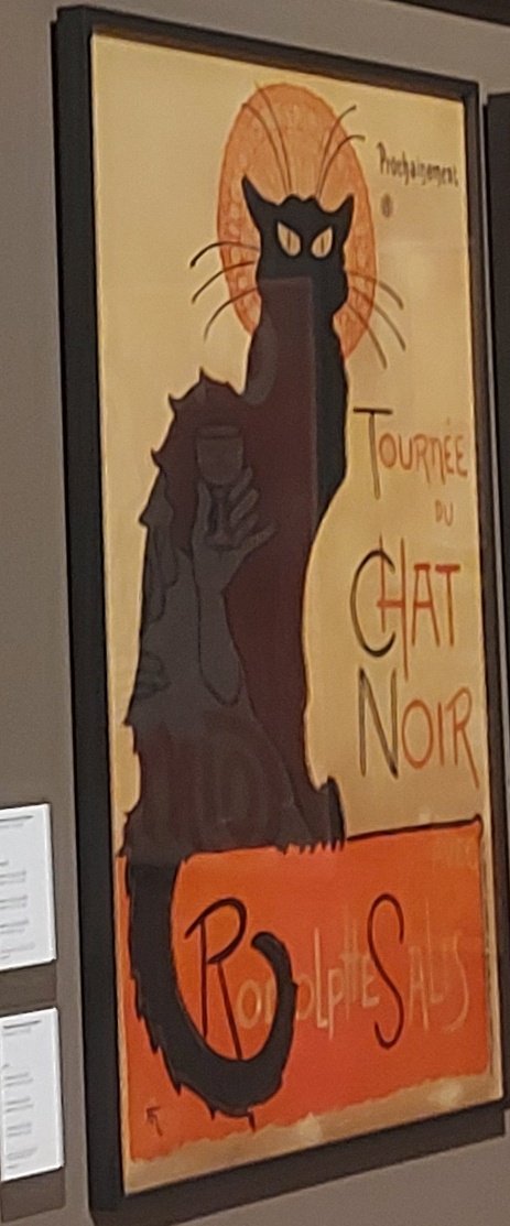 inmepe14's tweet image. @Roger0897 Un miau amb un reflexe d'una copa de vi, t'han dibuixat i ni ho sabies