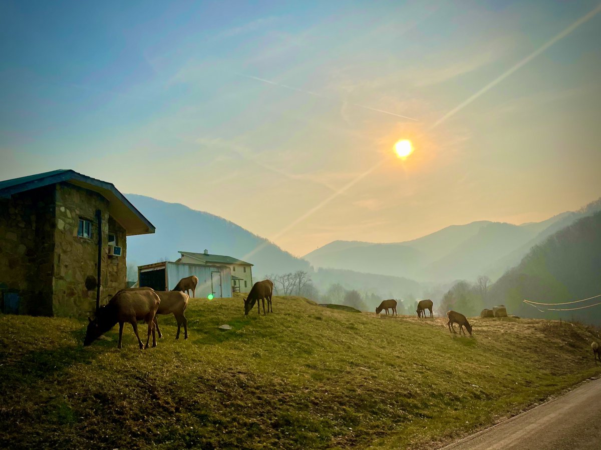 Cory Vaillancourt tweet media