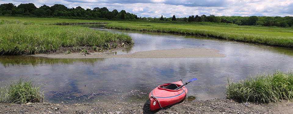 Stanford Center for Ocean Solutions (@oceansolutions) on Twitter photo "Coastal habitats play a critical role in mitigating the drivers of, and impacts from, a changing climate."
A study by <a href="/oceansolutions/">Stanford Center for Ocean Solutions</a> & <a href="/Stanford/">Stanford University</a> affiliated researchers shares #bluecarbon #climate & #policy solutions in California. stanford.io/3qssAu4 "Coastal habitats play a critical role in mitigating the drivers of, and impacts from, a changing climate."
A study by <a href="/oceansolutions/">Stanford Center for Ocean Solutions</a> & <a href="/Stanford/">Stanford University</a> affiliated researchers shares #bluecarbon #climate & #policy solutions in California. stanford.io/3qssAu4