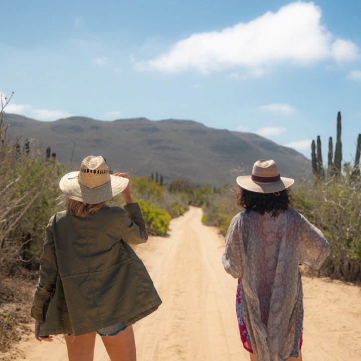Conquer the open trail.
⠀⠀⠀⠀⠀⠀⠀⠀⠀
With the help of one of our expert hiking guides, spend a few breathtaking hours traversing the gorgeous, serene Baja landscape. It's all included in a stay at Paradero.
⠀⠀⠀⠀⠀⠀⠀⠀⠀
📸: Border Free Media / Kristen Kellogg