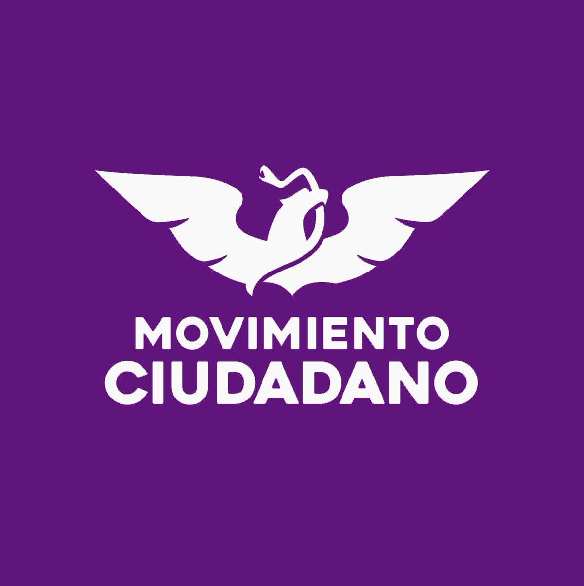 Comentadas2_0's tweet photo. @MovCiudadanoMX no importan los colores de los partidos, lo importante es #SanarAMéxico los invitamos a cambiar su logo para representar el compromiso de que tendrán acciones concretas y claras que combatirán todas las dolencias que vivimos las mujeres. @JFernandoGS @ric_fdz https://t.co/jcM8ty5okU