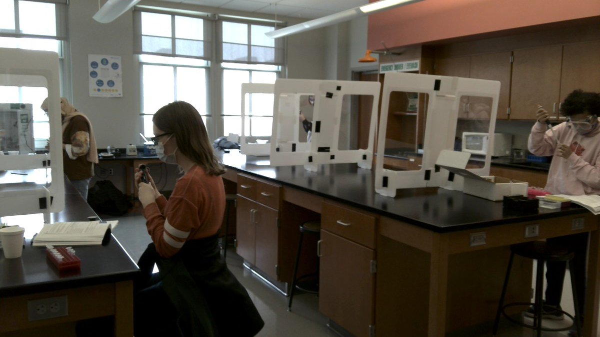 Wierzbowski_Bio's tweet photo. WMHS Biotechnology class is moving nicely through our curriculum. We have completed experiments to clone red fluorescent protein and these gels were run to verify that this was accomplished. Lets see how these clever students interpret their data. @LSO_ABEMA #ABEMA #MassBioEd https://t.co/IZSCKQwxVX